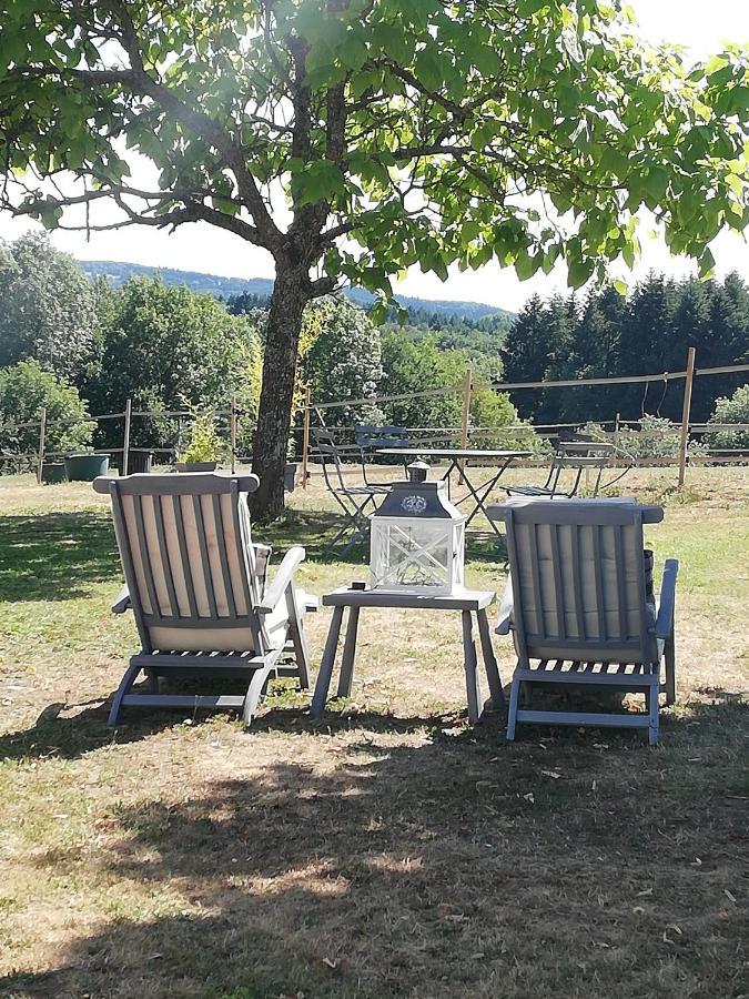 Chambre D'Hote Equestre Au Petit Bonheur Chateldon Buitenkant foto