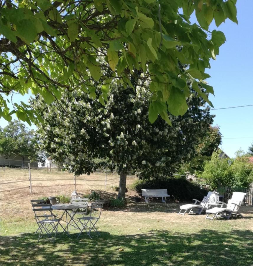 Chambre D'Hote Equestre Au Petit Bonheur Chateldon Buitenkant foto