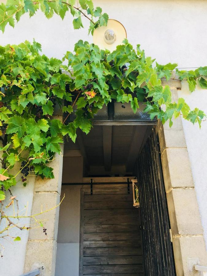 Chambre D'Hote Equestre Au Petit Bonheur Chateldon Buitenkant foto